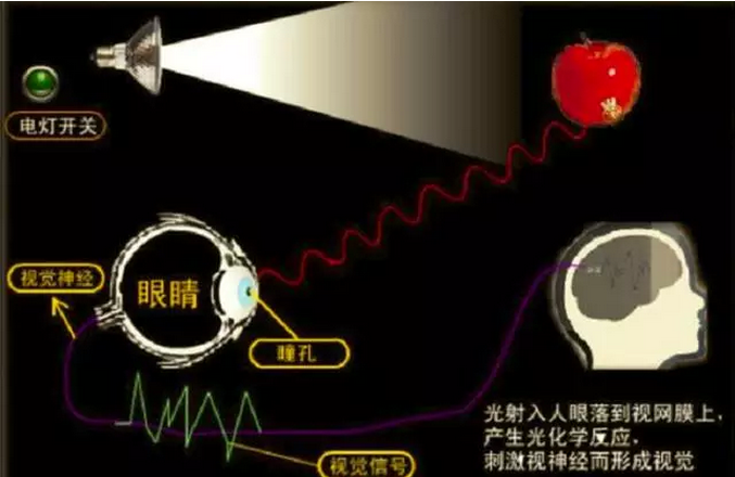 商業(yè)店鋪照明要點和燈光設計手法