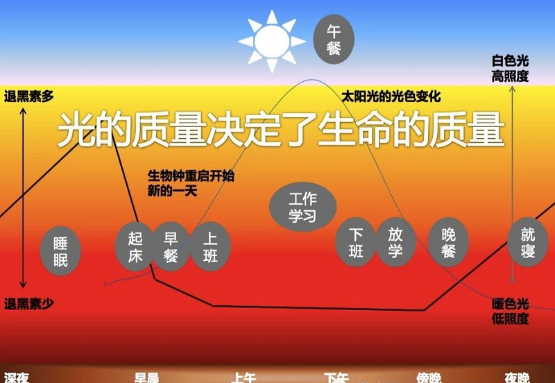 商業(yè)照明-4大新趨勢體驗